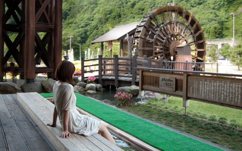 新緑を眺めて。。。