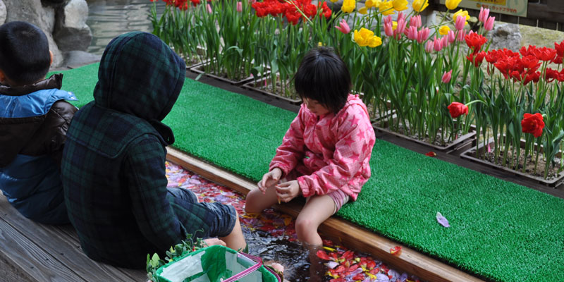 チューリップの花びら足湯