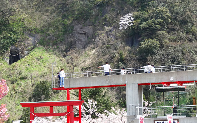 鯉恋の宮の対岸に見えます。