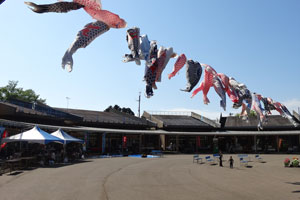 庄川ウッドプラザ