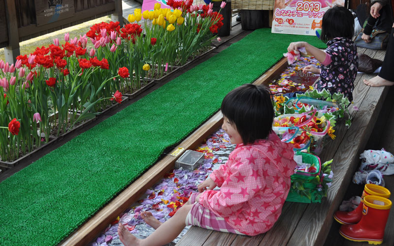 チューリップの花びら足湯
