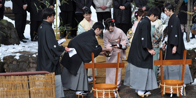 厄払い鯉の放流