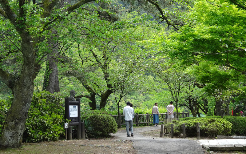 新緑に囲まれて