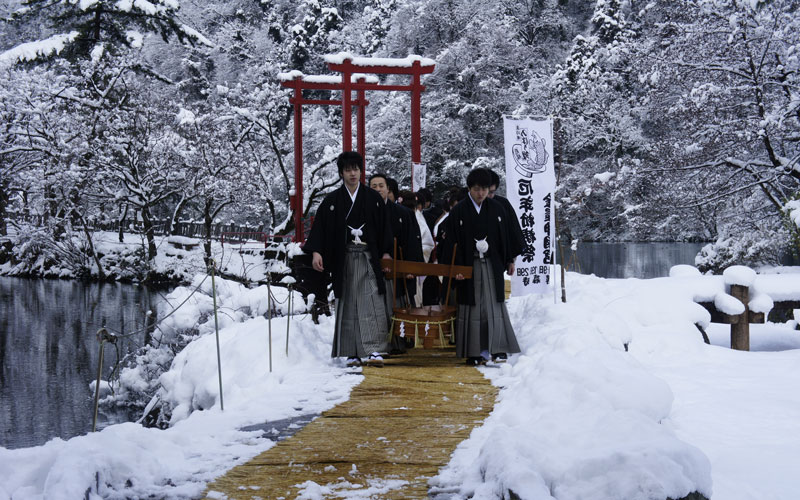 厄払い鯉の放流